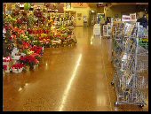 Terrazzo resurfacing in a flower shop